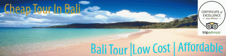 cropped-goldcoastvacationrentalsbanner1.gif