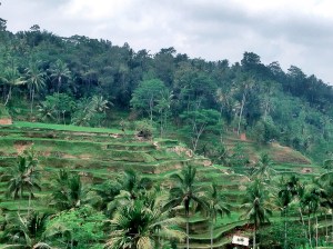 IMG_2562