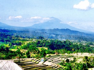 IMG_3445