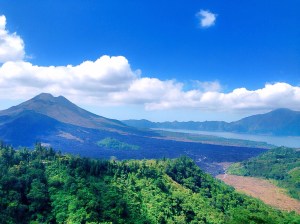 IMG_3446