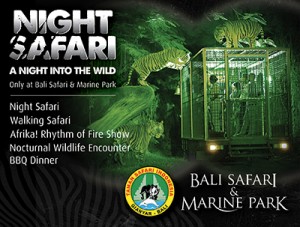 balisafari-300x227